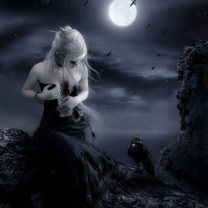 Meet your Posher, Lina